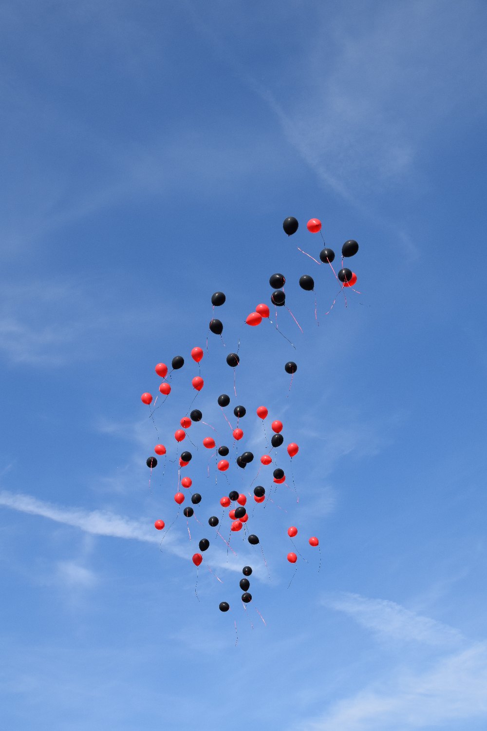 Abiturientia_2024_2