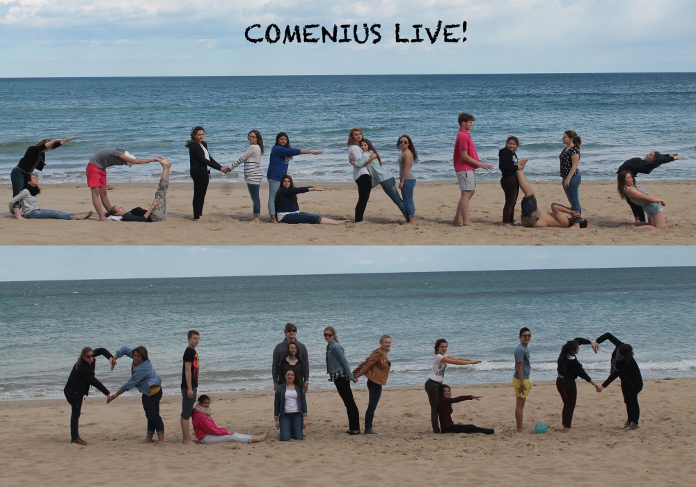 Comenius-Alicante