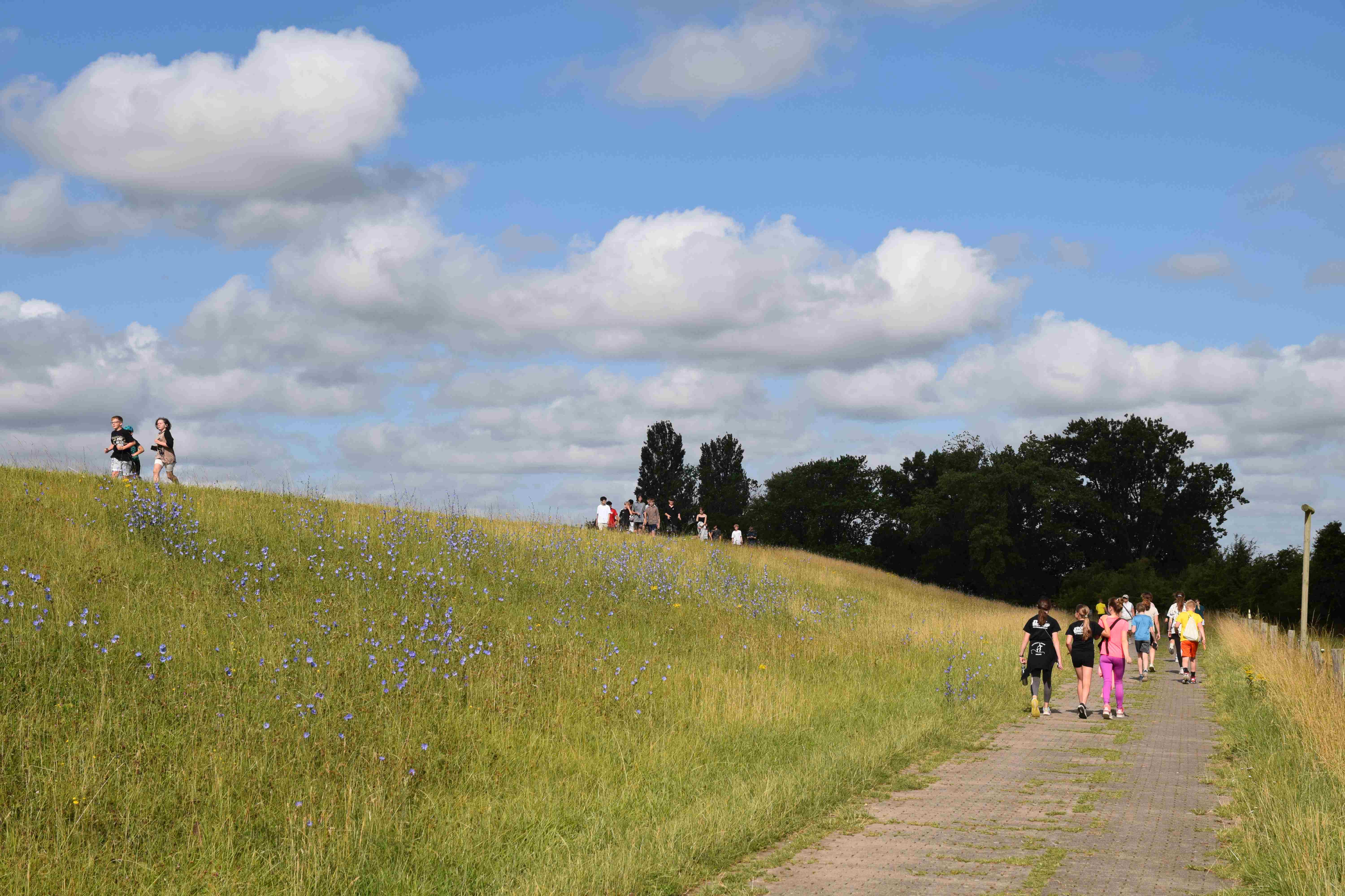 Sponsorenlauf_2025_107